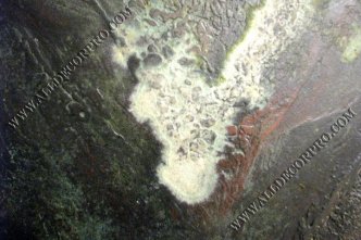Полы декорированные микробетоном