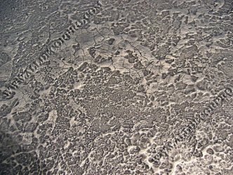 Панно на стене из декоративной металлизированной штукатурки
